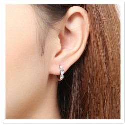  Heart-shape earrings Women's diamonds stones earrings simple and fashionable 