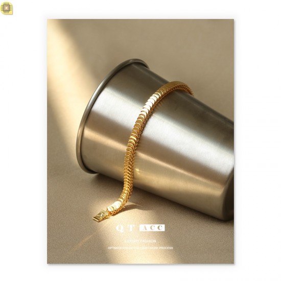 High -fiddite Bronze Plating True Gold INS Simple and Cold Wind Europe and America Exaggerated Rough Chain Snake Bone Chain Woman