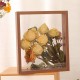 الخشب الصلب مزدوج الوجه الشفافة DIY مجفف زهرة المنزل ديكور سطح المكتب العائمة مربع DRY FLOWE الخشب الصلب مزدوج الوجه الشفافة DIY مجفف زهرة المنزل ديكور سطح المكتب العائمة مربع DRY FLOWE
