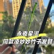 Yongye Xinghe Yu Shuxin's Hairpin Ling Miaomiao Small Bamboo Hairpin Yongye Xinghe Yu Shuxin's Hairpin Ling Miaomiao Small Bamboo Hairpin