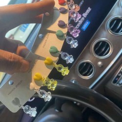 Bear earrings five colors